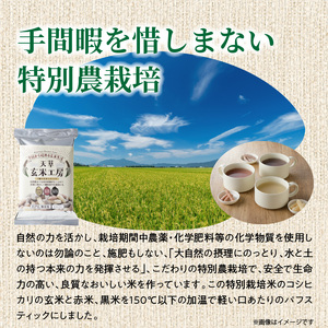 S067-036_特別栽培米からできた3種の玄米スティック 50g×10袋