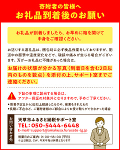 S153-003_熊本県天草産木成りあまくさ晩柑 約8kg