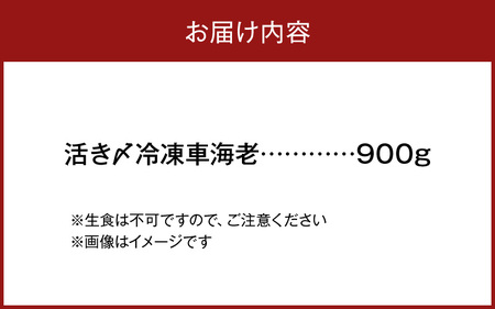 S065-003A_活き〆冷凍車海老 900g (400g×1パック・500g×1パック)  / 活き〆 車海老 真空パック 新鮮 凍結 エビ 天ぷら 豊かな甘み 塩焼き 素材の味 味噌漬け エビフライ 魚介類 天草 冷凍 養殖 シーフード 海産物 海鮮 海の幸 熊本県 天草市 自社養殖 急速冷凍 お取り寄せ お取り寄せグルメ 送料無料