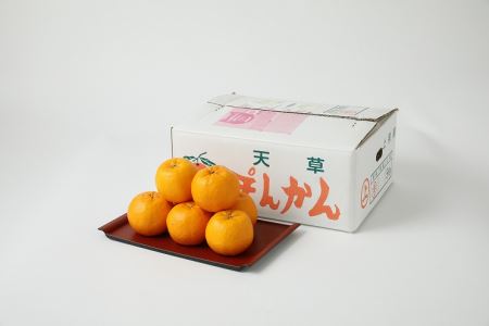 天草産ポンカン 家庭用 箱込20kg S040-006A_農家の手摘み天草