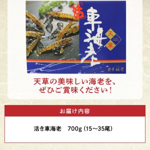 S005-002_【鮮度抜群】厳選・幸福堂の活き車えび(700g)〈先行予約〉 / 車エビ 車海老 エビ えび