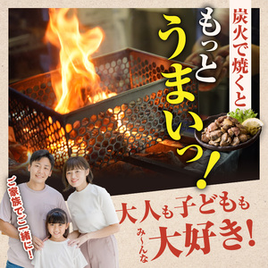 S081-002A_天草大王炭火焼 360g(120ｇ×3袋)  /地鶏 鶏肉 肉 鶏 炭火焼