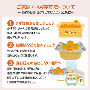 S040-013A_【定期便 3回】厳選！天草 下浦地区の農家が愛情込めて育てた柑橘3種〈先行予約〉