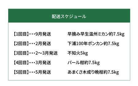 S040-018A_【訳あり 定期便5回】天草 下浦地区の農家が愛情込めて育てた柑橘5種〈先行予約〉 / ポンカン みかん 晩柑 柑橘 不知火 ミカン