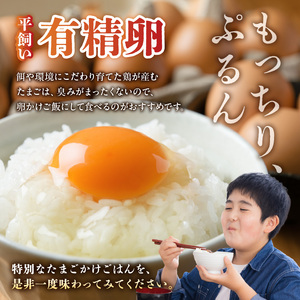 S061-003A_天草五ッ星米卵かけご飯セット(お米 5kg 卵 30個) /卵
