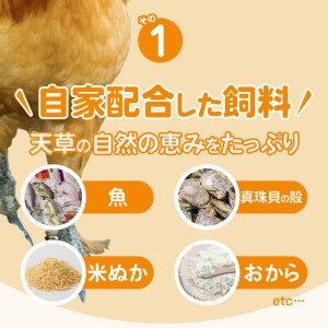 S061-004_平飼い 有精卵 30個 卵 たまご / 卵 たまご 卵かけご飯 鶏卵 玉子