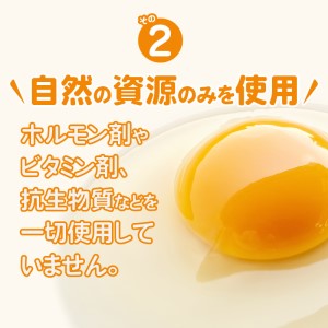 S061-004_平飼い 有精卵 30個 卵 たまご / 卵 たまご 卵かけご飯 鶏卵 玉子