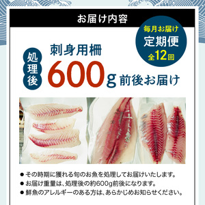 S121-T05_【全12回　連続 指定日必須】 お刺身用柵定期便