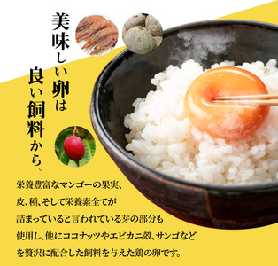 S038-T03_【定期便3回】天草 タマンゴ 6個 卵