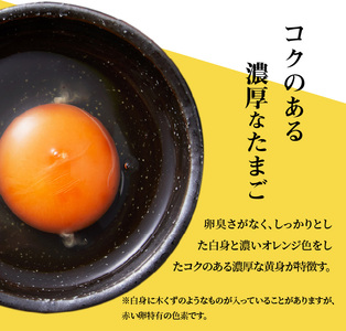 S038-T03_【定期便3回】天草 タマンゴ 6個 卵