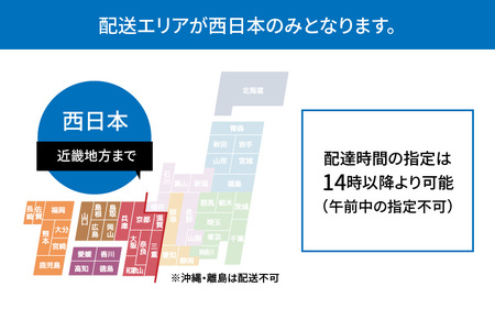 S002-004_蒼海セット(活き車海老・活きあわび・活きサザエ・天然塩) / 車エビ 車海老 エビ えび あわび サザエ アワビ
