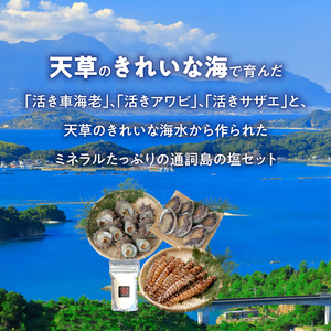 S002-004_蒼海セット(活き車海老・活きあわび・活きサザエ・天然塩) / 車エビ 車海老 エビ えび あわび サザエ アワビ