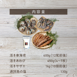 S002-004_蒼海セット(活き車海老・活きあわび・活きサザエ・天然塩) / 車エビ 車海老 エビ えび あわび サザエ アワビ