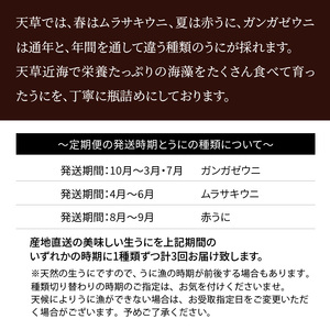 S002-007_【定期便3回】季節ごとに変わる 殻出し生うに 50g×2本 うに用醤油付  /うに ウニ 生ウニ 生うに 雲丹