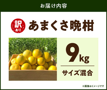S097-006_【訳あり】あまくさ晩柑 9kg