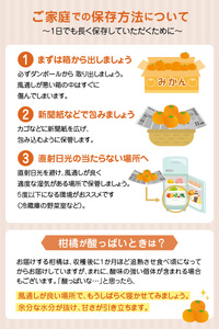 S086-004A_井手尾さん家の小さい不知火 約7kg 　家庭用〈先行予約〉