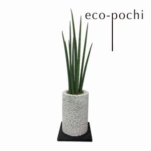 S060-078A_エコ・ポチ チムニー 白 サンスベリア・バキュラリス / 観葉植物 インテリア グリーン サンスベリア