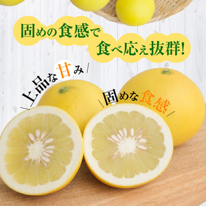 S040-022A_農家の手摘み パール柑 約7.5kg〈先行予約〉 先行予約 柑橘 約 7.5kg 天草産 果物 フルーツ 真珠 手摘み 固め 食感 食べ応え 果肉 上品 甘み おいしい おすすめ 人気 予約受付 常温 お取り寄せ お取り寄せフルーツ 熊本県 天草市 送料無料