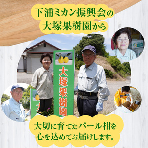 S040-022A_農家の手摘み パール柑 約7.5kg〈先行予約〉 先行予約 柑橘 約 7.5kg 天草産 果物 フルーツ 真珠 手摘み 固め 食感 食べ応え 果肉 上品 甘み おいしい おすすめ 人気 予約受付 常温 お取り寄せ お取り寄せフルーツ 熊本県 天草市 送料無料