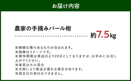 S040-022A_農家の手摘み パール柑 約7.5kg〈先行予約〉 先行予約 柑橘 約 7.5kg 天草産 果物 フルーツ 真珠 手摘み 固め 食感 食べ応え 果肉 上品 甘み おいしい おすすめ 人気 予約受付 常温 お取り寄せ お取り寄せフルーツ 熊本県 天草市 送料無料