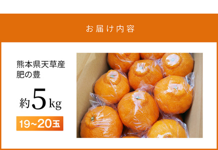 S110-001_熊本県天草産 肥の豊5kg 19~20玉〈先行受付〉