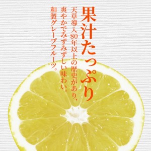 S053-001A_ジューシーオレンジ 7.5kg 河内晩柑〈先行予約〉