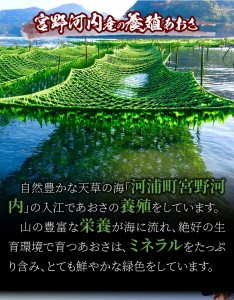 S100-001A_天草特産乾燥あおさ25g 6個セット / 天草特産 乾燥 あおさ