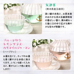 S103-001A_イルカの形のティーバック ブルーBOX