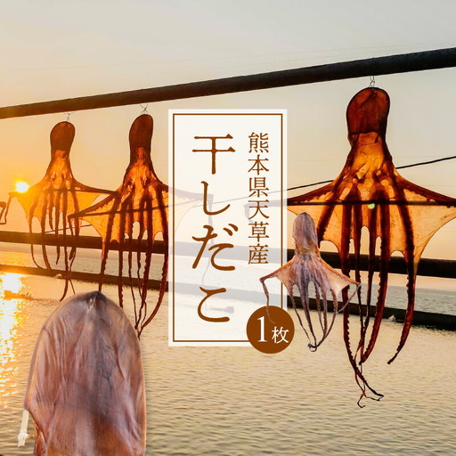 S116-001A_熊本県天草産干しだこ　1枚
