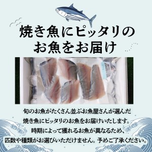 S121-001A_焼き魚用　鮮魚セット