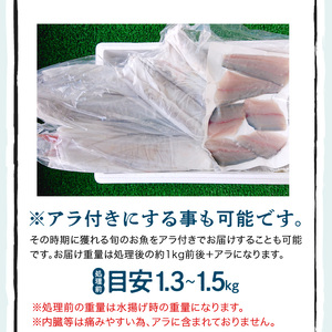 S121-001A_焼き魚コース