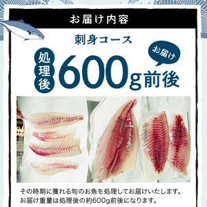 S121-003A_刺身コース