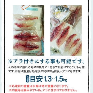 S121-003A_刺身コース