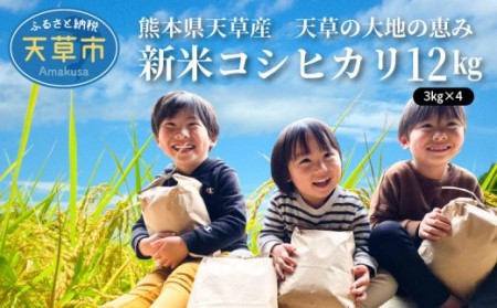 S108-004A_〈令和6年産〉熊本県天草産　天草の大地の恵み　新米コシヒカリ12㎏【先行予約】