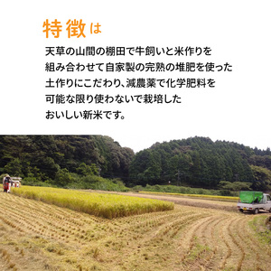 S109-004A_〈令和6年産〉熊本県天草産 天草コシヒカリ12kg（3kg×4）【先行予約】