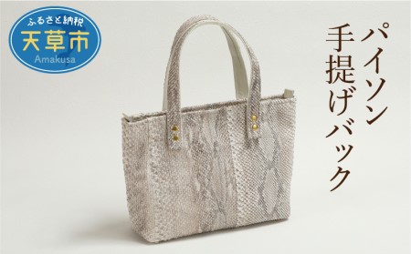 S056-012_パイソン手提げバック