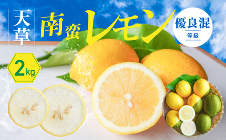 S131-005A_天草南蛮レモン　等級「優良混」2kg