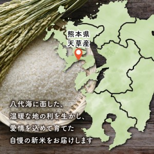 S128-002A_熊本県天草産 早期新米 コシヒカリ 5㎏〈令和6年産 先行受付〉 