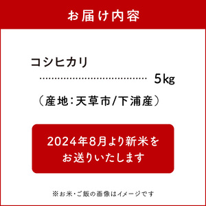 S128-002A_熊本県天草産 早期新米 コシヒカリ 5㎏〈令和6年産 先行受付〉 