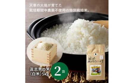 S067-019_【令和7年産】健幸米10kgセット(コシヒカリ・玄米めんなど）