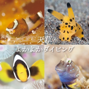 S134-005_よかよか体験チケット30,000円