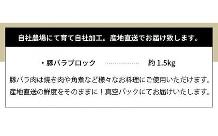 S058-024A_天草プレミアムポーク 豚バラ ブロック 約1.5kg