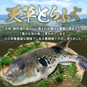 S106-024_とらふぐの宅配セット 3～4人前【firesh®】
