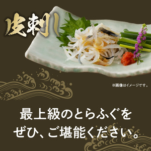 S106-024_とらふぐの宅配セット 3～4人前【firesh®】