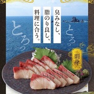 S137-003_【天草育ち】活じめ！新鮮うまかぶり　まるまる1本！（内臓処理済）約4kg