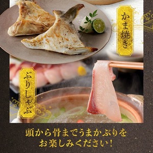 S137-003_【天草育ち】活じめ！新鮮うまかぶり　まるまる1本！（内臓処理済）約4kg