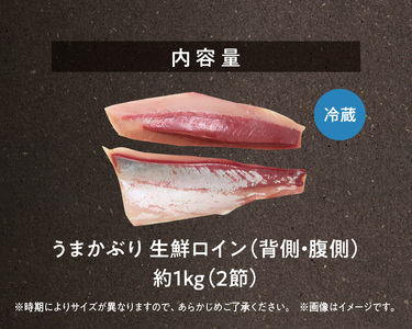 S137-005_【天草育ち】活じめ！うまかぶり生鮮ロイン2節 約1kg（切るだけ、手間いらず）