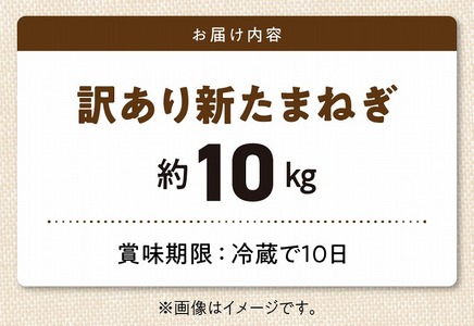 S010-077_令和8年4月出荷 訳あり新たまねぎ【先行受付】