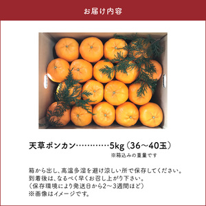 S142-001A_天草ポンカン 約5kg箱【先行受付】