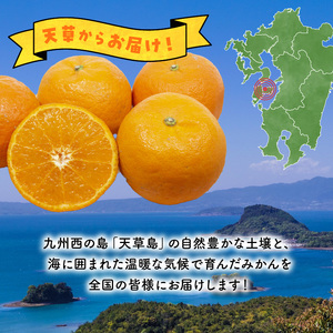 S142-001A_天草ポンカン 約5kg箱【先行受付】